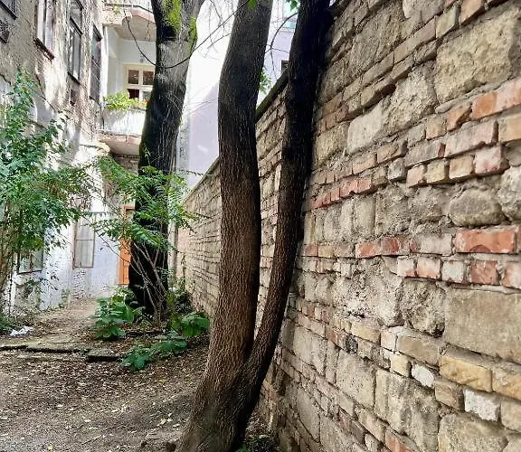 Le Noir *
